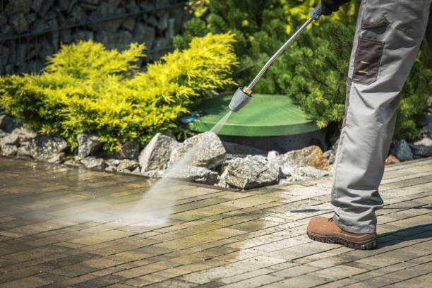 Best Pre-Holiday Cleaning  in Glenwood Springs, CO